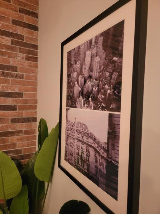 Cosmopolitan Apt 1407, 5 Star Facilities, 15M Sjo Airport, Parking, Pool, Gym サンホセ エクステリア 写真