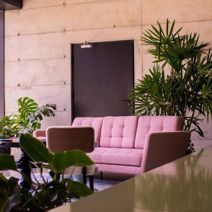 Cosmopolitan Apt 1407, 5 Star Facilities, 15M Sjo Airport, Parking, Pool, Gym サンホセ エクステリア 写真